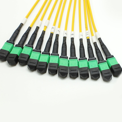 Niskie straty MPO Fanout Kabel Duża ilość rdzenia 1M 144F SMG657A1 MPO APC do MPO APC Breakout Fiber Optic Patch Cord