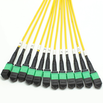 144F MTP MPO Fanout Cable SMG657A1 MPO APC do MPO APC Breakout Fiber Optic Patch Cord