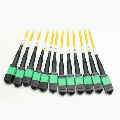 144F MTP MPO Fanout Cable SMG657A1 MPO APC do MPO APC Breakout Fiber Optic Patch Cord