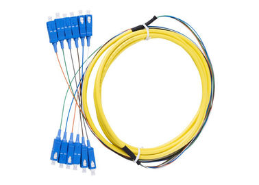 12-żyłowy, 24-rdzeniowy, wewnętrzny kabel krosowy ze złączem SC